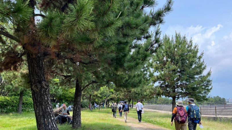 甲子園浜海浜公園に入ったところ