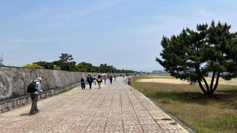 甲子園浜海浜公園　防波堤遊歩道