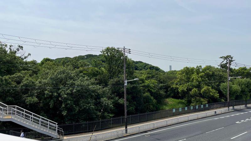 榎橋歩道橋より仁徳天皇陵古墳