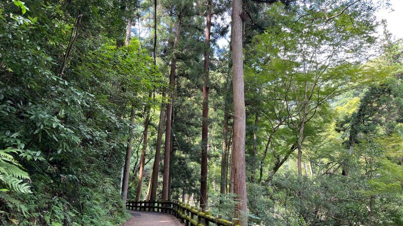 遊歩道 