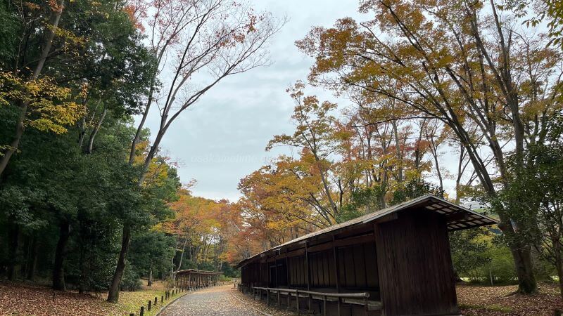 日本庭園 