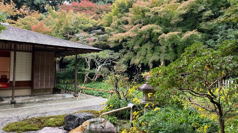 汎庵でお茶