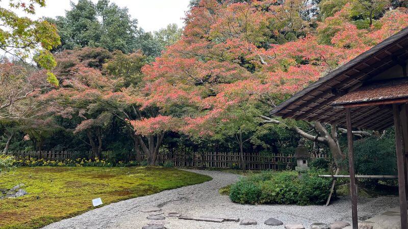 万里庵と紅葉