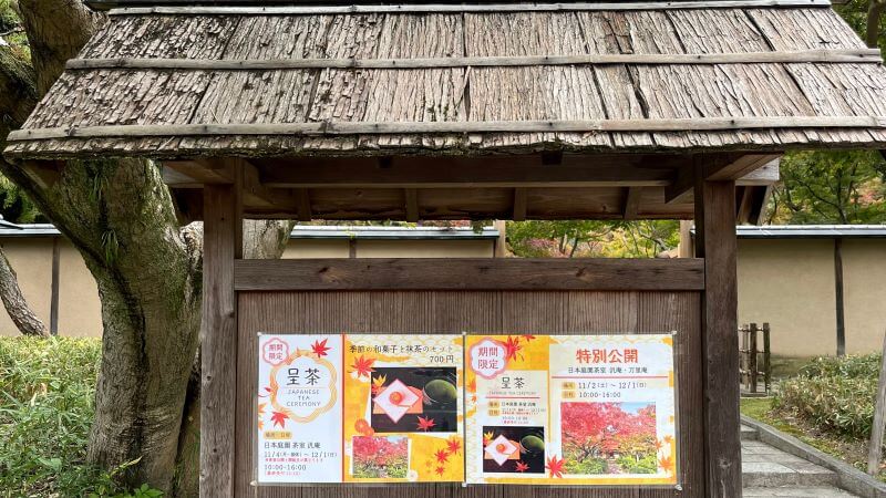 季節の和菓子と抹茶のセット