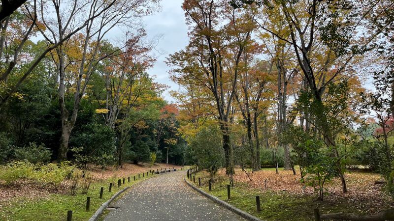 日本庭園 