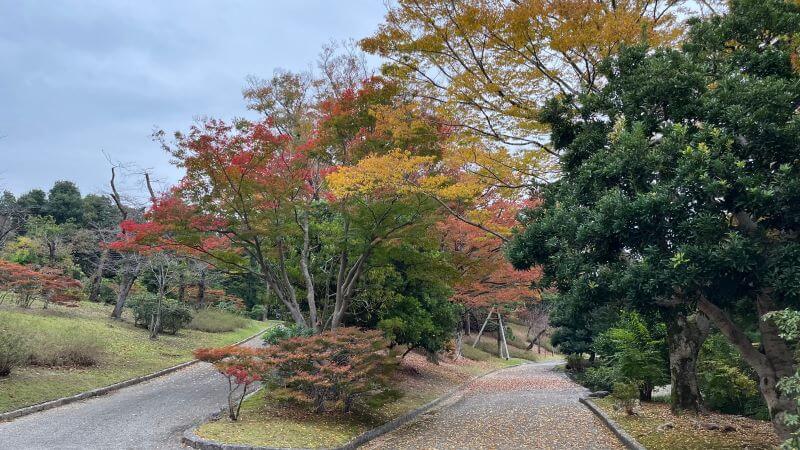 日本庭園 