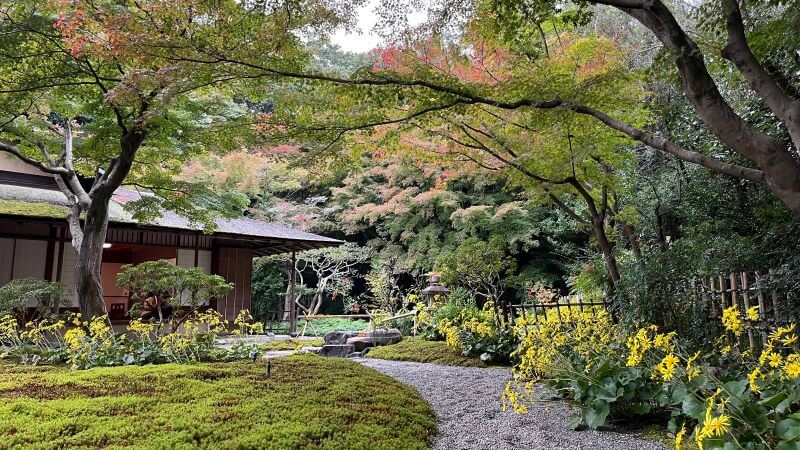 苔庭と汎庵