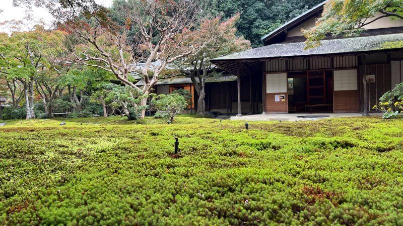 苔庭と汎庵