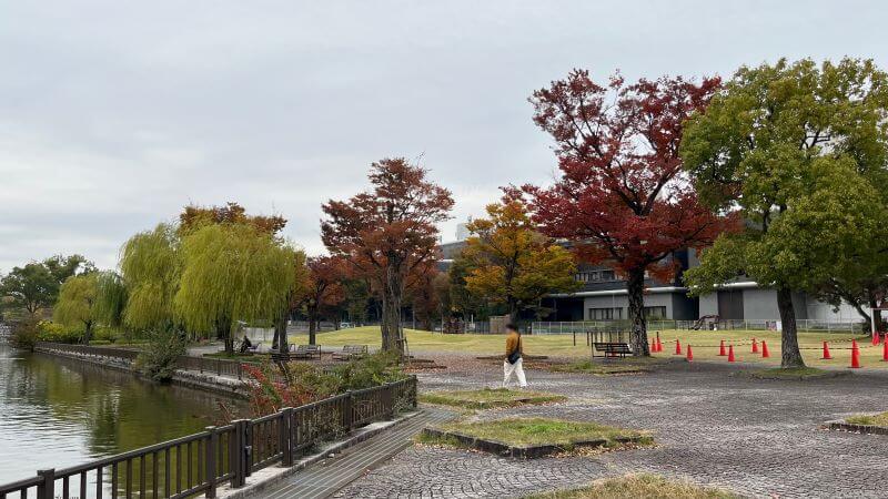 大地の池 