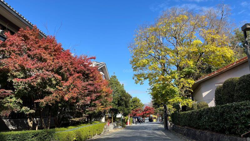 高台寺→円山公園