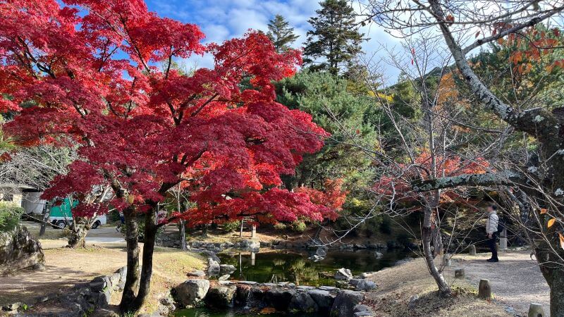 円山公園