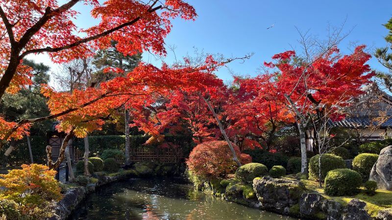 仁王門近くの庭園