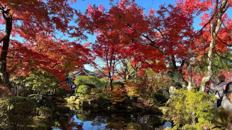 仁王門近くの庭園