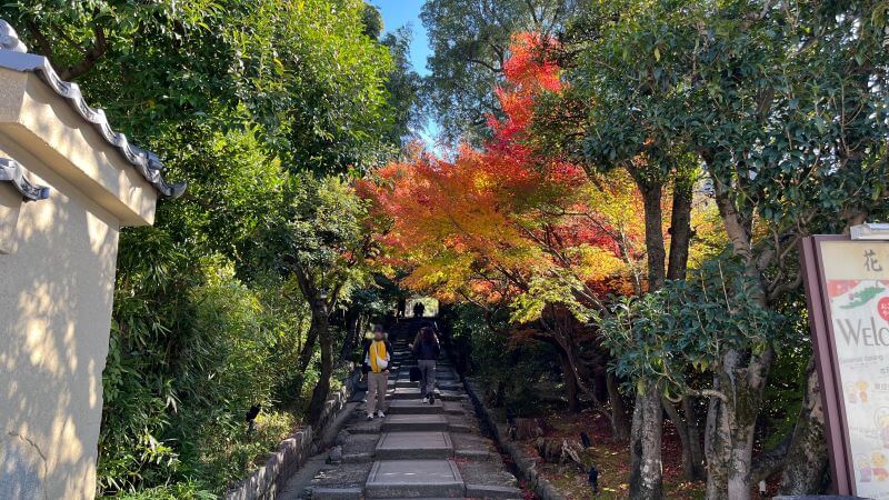 高台寺へ