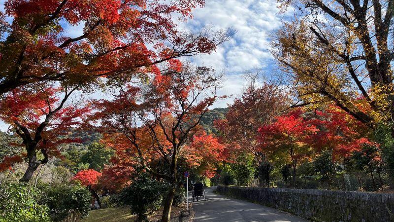 円山公園