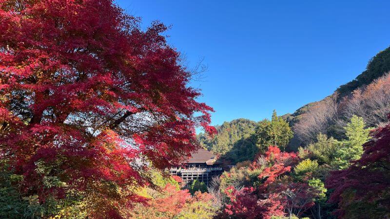 子安塔より本堂舞台を望む 