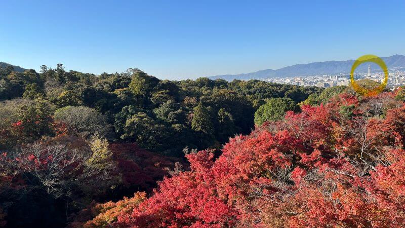 本堂より京都タワー