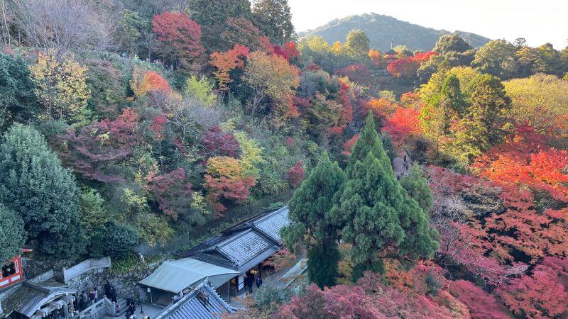 本堂より眼下の音羽の瀧