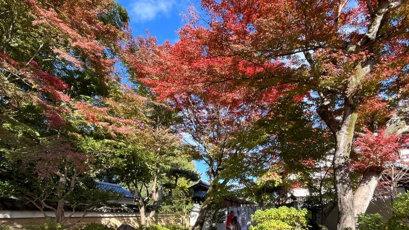 高台寺入口手前 