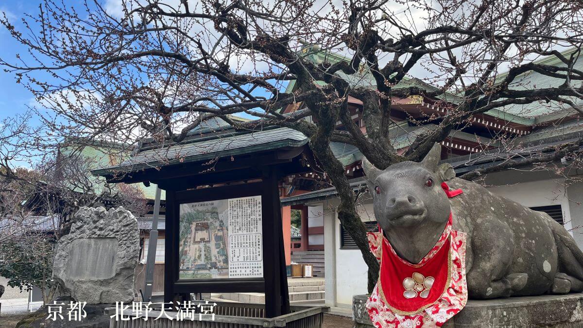 TOP (北野天満宮)