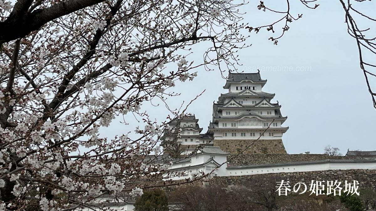 春の姫路城