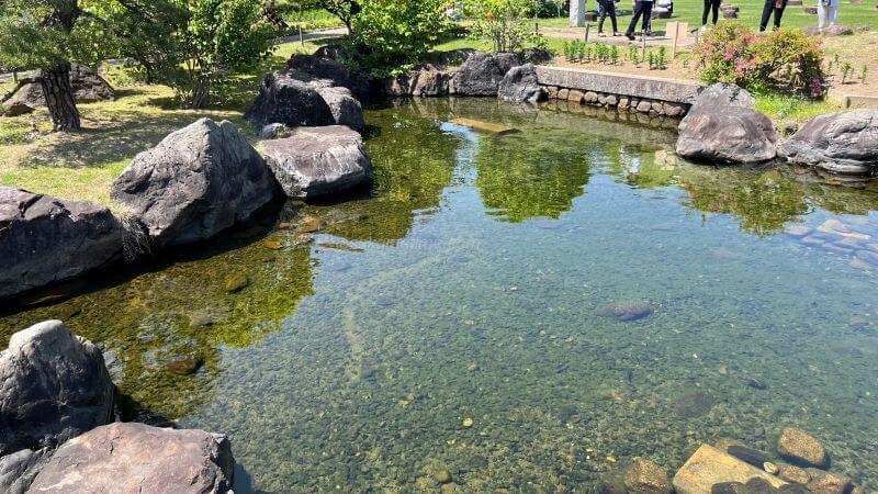 休憩舎前の池