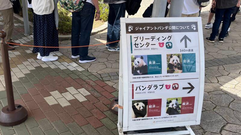 パンダ公開について