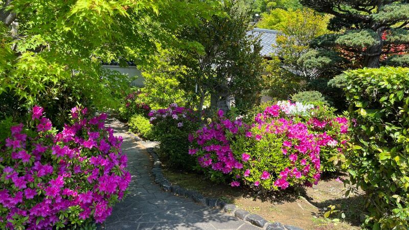 茶室へ