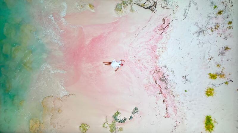 ピンクの砂浜