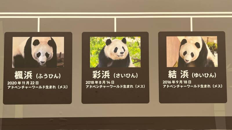 3人娘