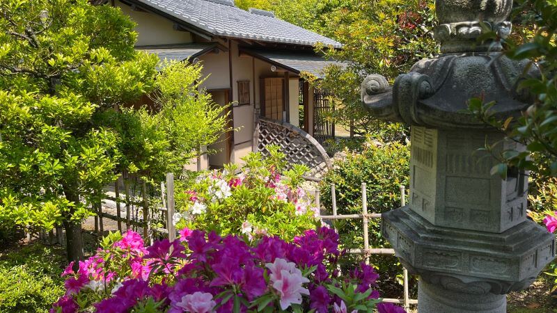 茶室とツツジ