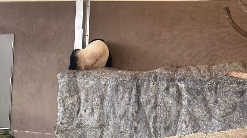 1334頃の結浜