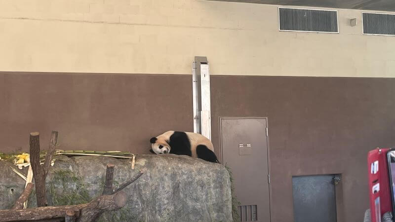1340頃の楓ちゃん