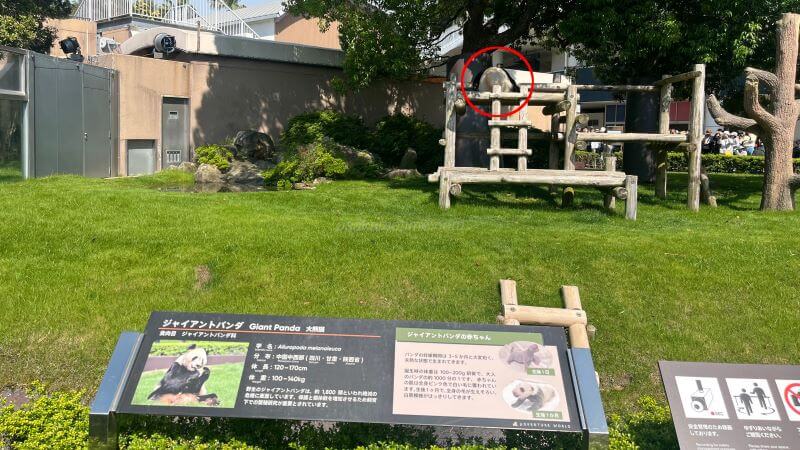 1442頃の彩浜