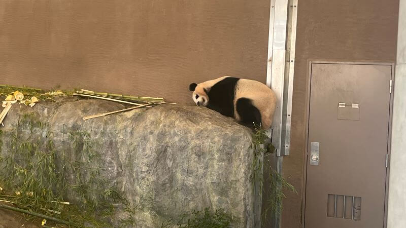 1340頃の楓ちゃん