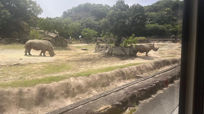 サイ
