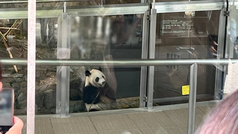 お食事中の楓ちゃん