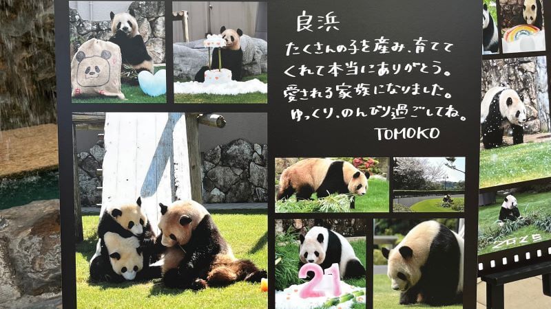 良浜2 トモコさんのメッセージ