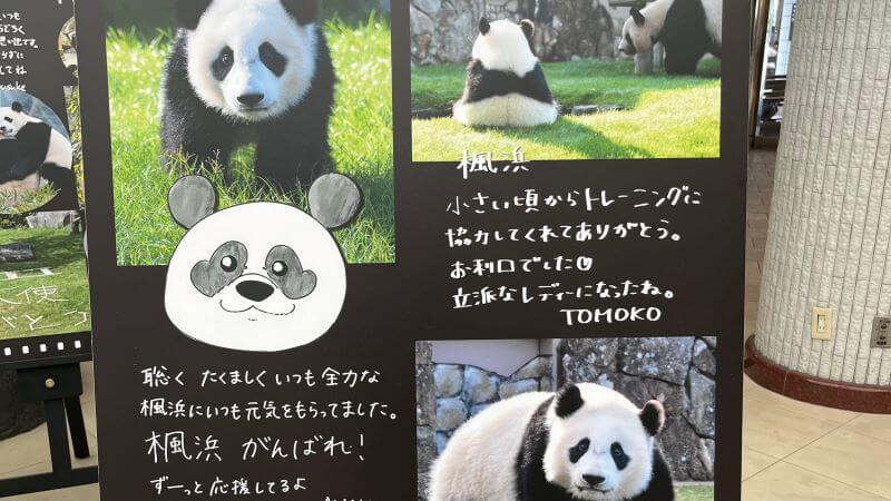 楓浜 (2)トモコさんのメッセージ