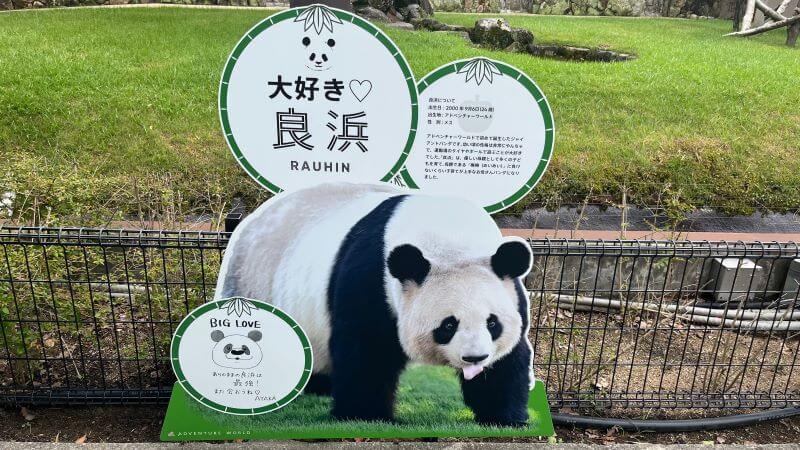 良浜 ブリセン (1) アヤカさんのメッセージ