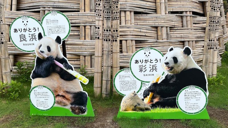 良浜と彩浜 パンダラブ周辺