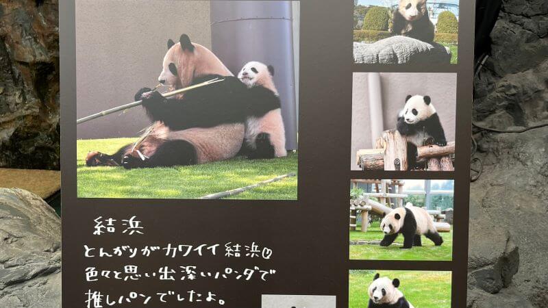 とんがり結浜 (2)