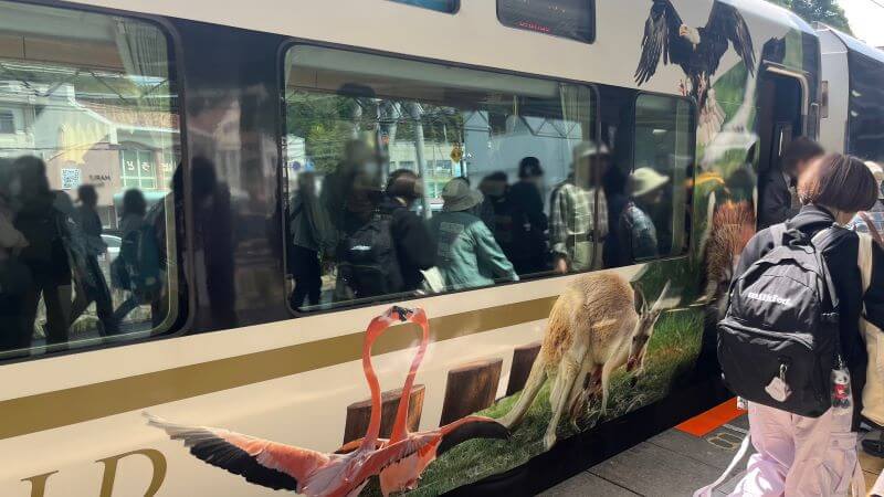 フラミンゴ(車両)