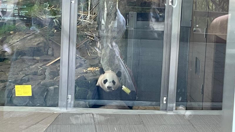 お食事中の楓ちゃん