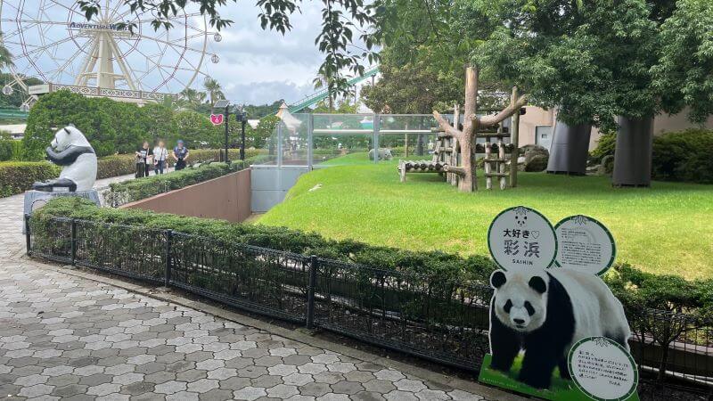 屋外のブリセン(彩浜)