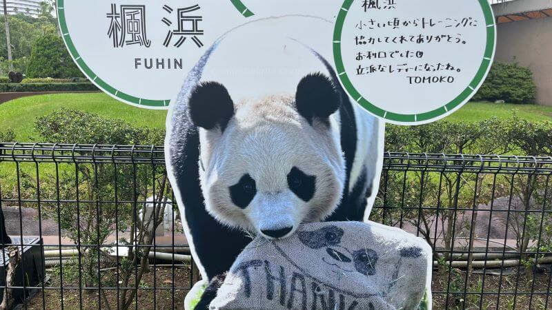 楓浜 ブリセン2 (2)トモコさんのメッセージ