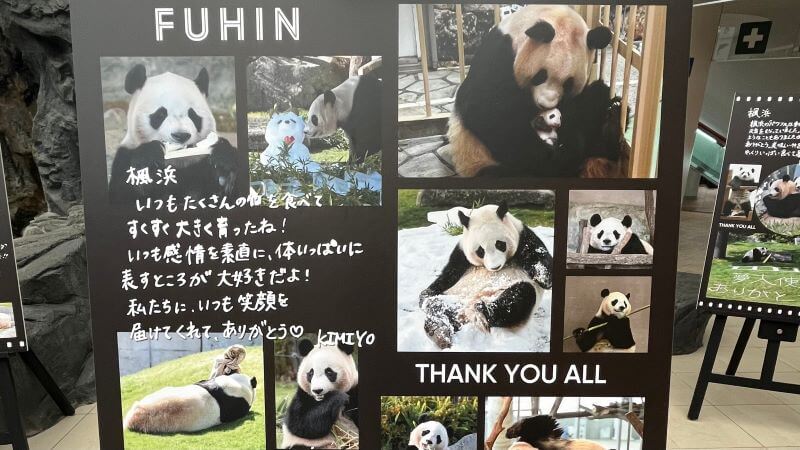 楓浜 (1)キミヨさんのメッセージ