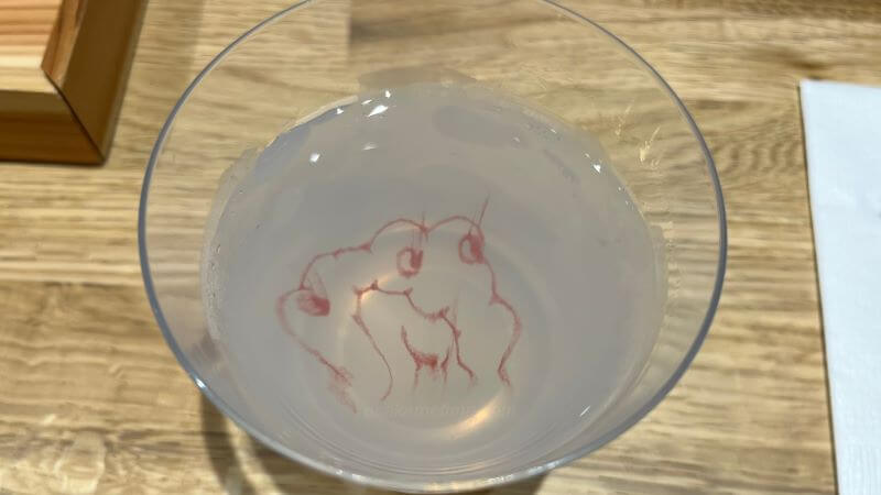 SUNRORY 3 顔が崩れていく様子