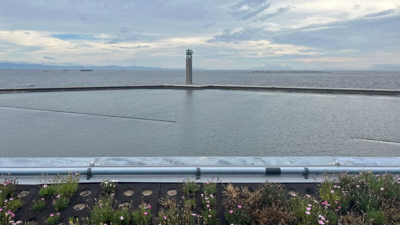 海