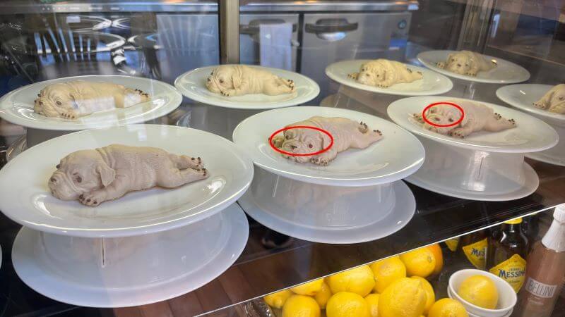 26　目がいろいろ (14)